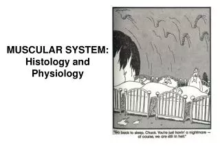 MUSCULAR SYSTEM: Histology and Physiology