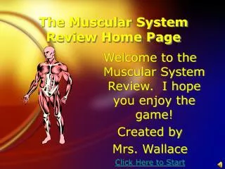 The Muscular System Review Home Page