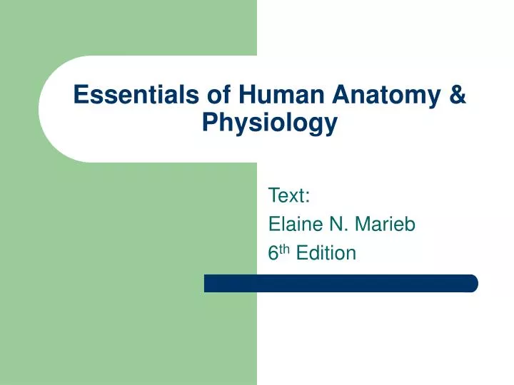 essentials of human anatomy physiology