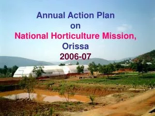 Annual Action Plan on National Horticulture Mission, Orissa 2006-07
