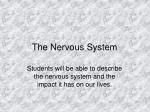 The Nervous System - slide 1