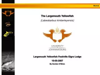 The Largemouth Yellowfish (Labeobarbus kimberleyensis) Largemouth Yellowfish Festiville Elgro Lodge 10-05-2007 By Gordo
