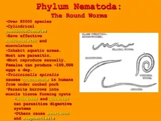 Phylum Nematoda: The Round Worms