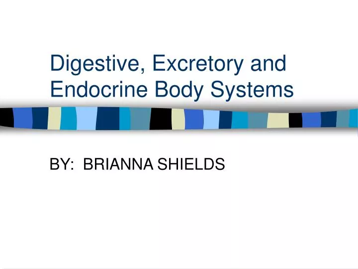 digestive excretory and endocrine body systems