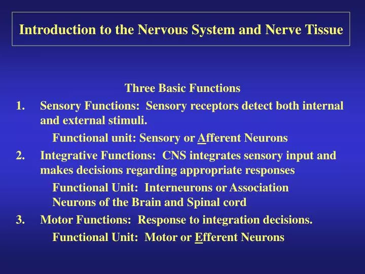 introduction to the nervous system and nerve tissue