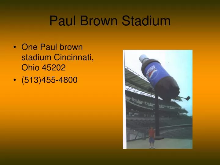 paul brown stadium