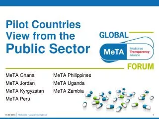 Pilot Countries View from the Public Sector
