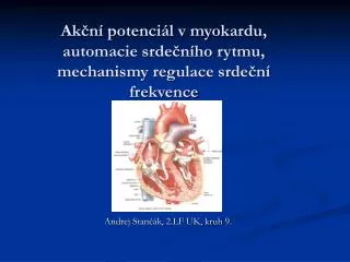 Akční potenciál v myokardu, automacie srdečního rytmu, mechanismy regulace srdeční frekvence