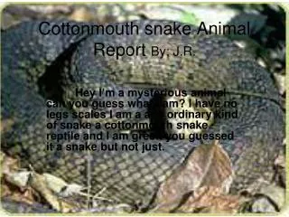 Cottonmouth snake Animal Report By; J.R.