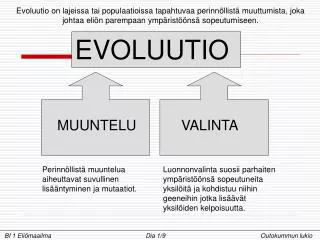 EVOLUUTIO