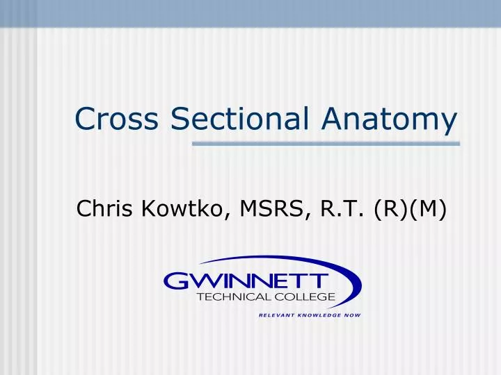 cross sectional anatomy