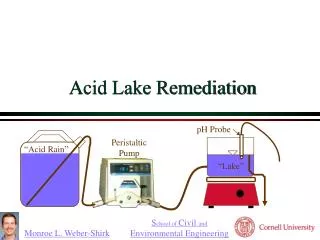 Acid Lake Remediation