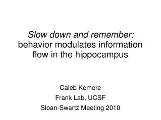 Slow down and remember: behavior modulates information flow in the hippocampus