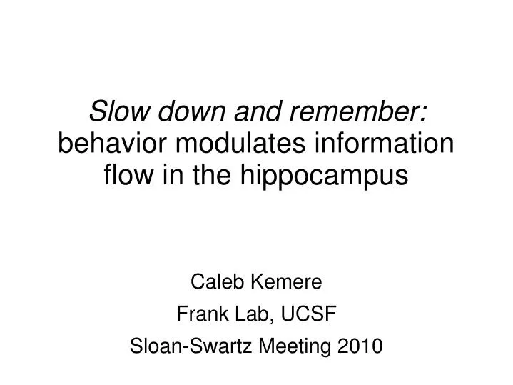 slow down and remember behavior modulates information flow in the hippocampus
