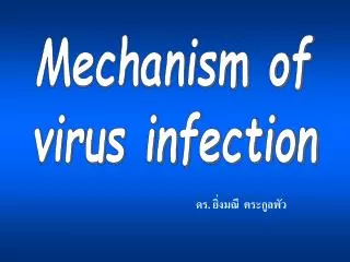 ดร. ยิ่งมณี ตระกูลพัว
