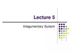 Lecture 5 - slide 1