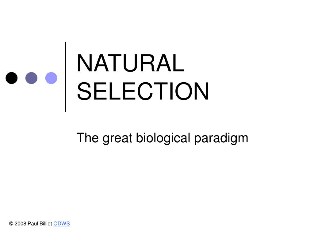 PPT - NATURAL SELECTION PowerPoint Presentation, free download - ID:589258