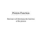 Protein Function - slide 1