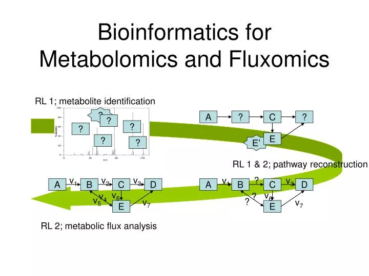 bioinformatics for metabolomics and fluxomics