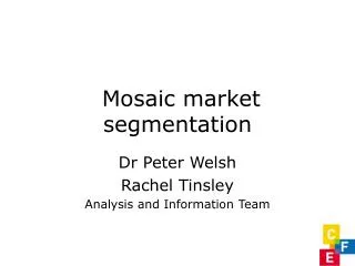 Mosaic market segmentation
