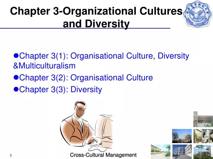 chapter 3 organizational cultures and diversity