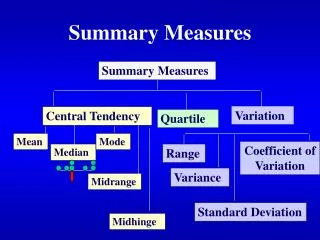 Summary Measures