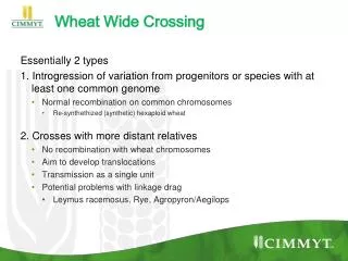 Wheat Wide Crossing