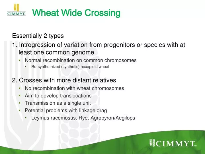 wheat wide crossing