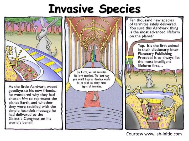 invasive species