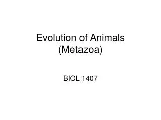 Evolution of Animals (Metazoa)