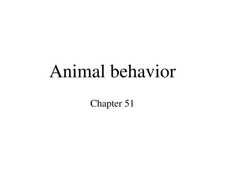 animal behavior