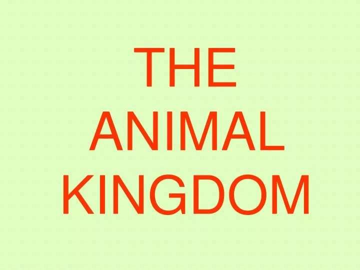 the animal kingdom