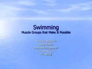 Swimming Muscle Groups that Make It Possible