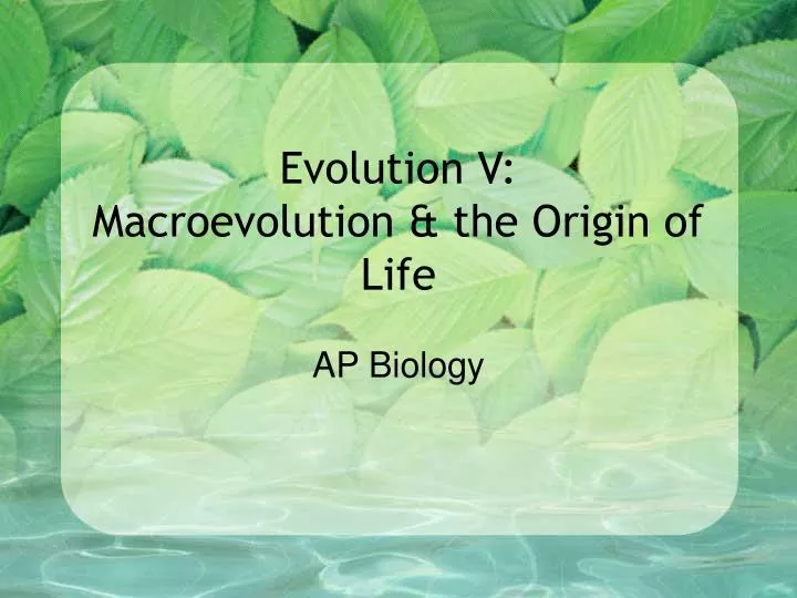 evolution v macroevolution the origin of life