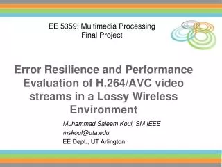 Error Resilience and Performance Evaluation of H.264/AVC video streams in a Lossy Wireless Environment