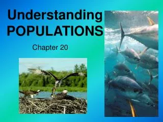 Understanding POPULATIONS