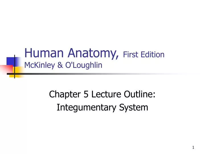 human anatomy first edition mckinley o loughlin