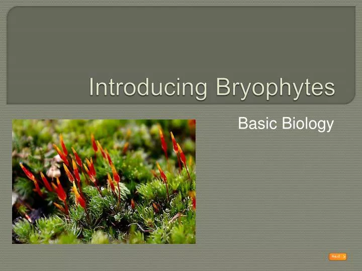 introducing bryophytes