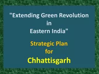 &quot;Extending Green Revolution in Eastern India&quot; Strategic Plan for Chhattisgarh