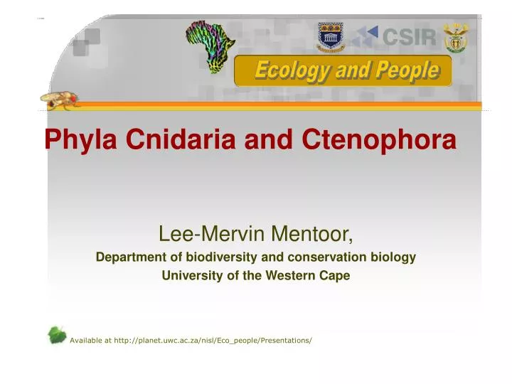 phyla cnidaria and ctenophora