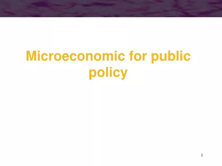 microeconomic for public policy