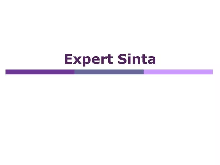 expert sinta