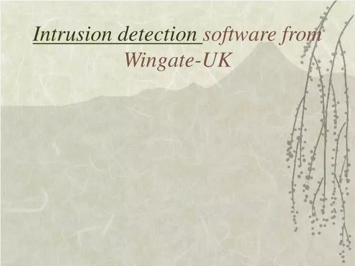 intrusion detection software from wingate uk