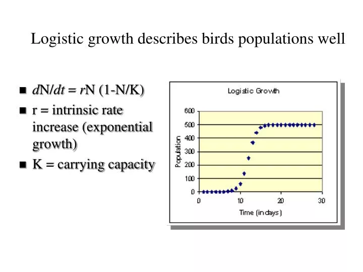 logistic growth describes birds populations well