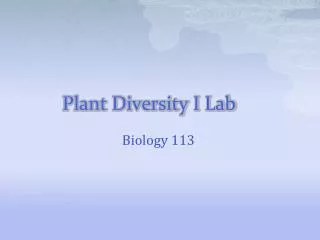 Plant Diversity I Lab