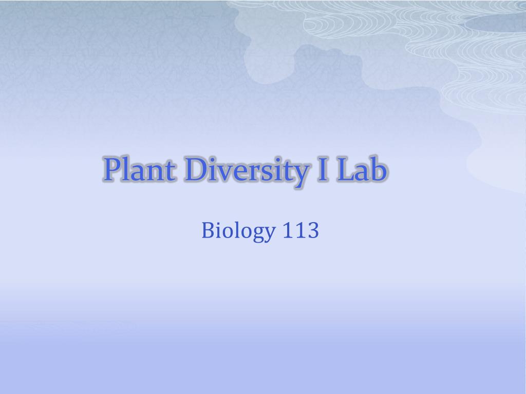 PPT - Plant Diversity I Lab PowerPoint Presentation, free download - ID ...