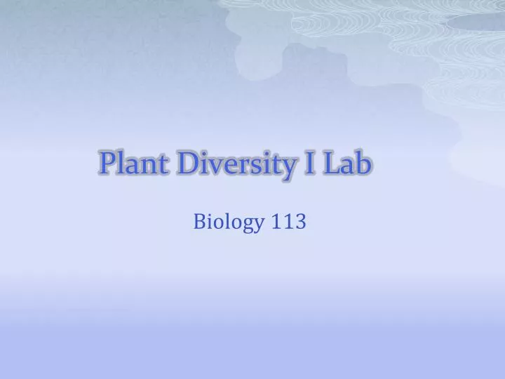 plant diversity i lab