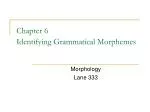 Chapter 6 Identifying Grammatical Morphemes - slide 1