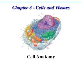 Chapter 3 - Cells and Tissues Cell Anatomy