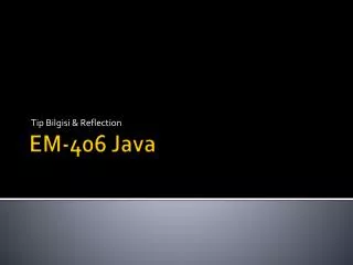 EM-406 Java